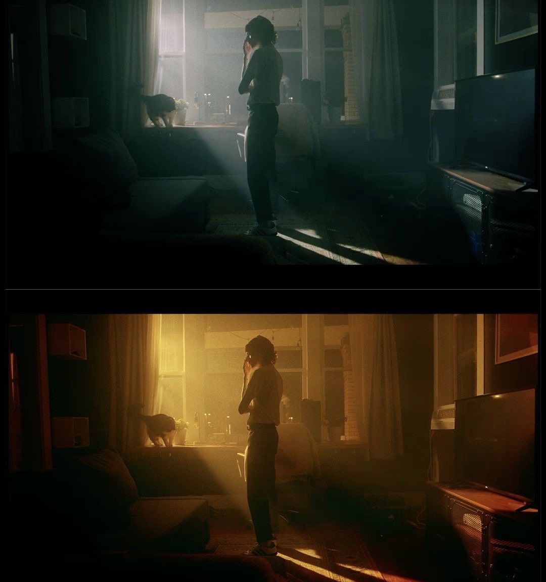 Cinematic Short Films